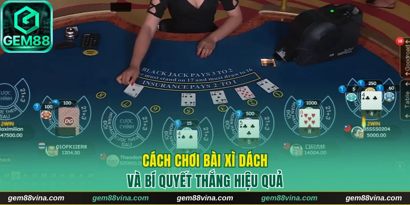 Bài xì dách