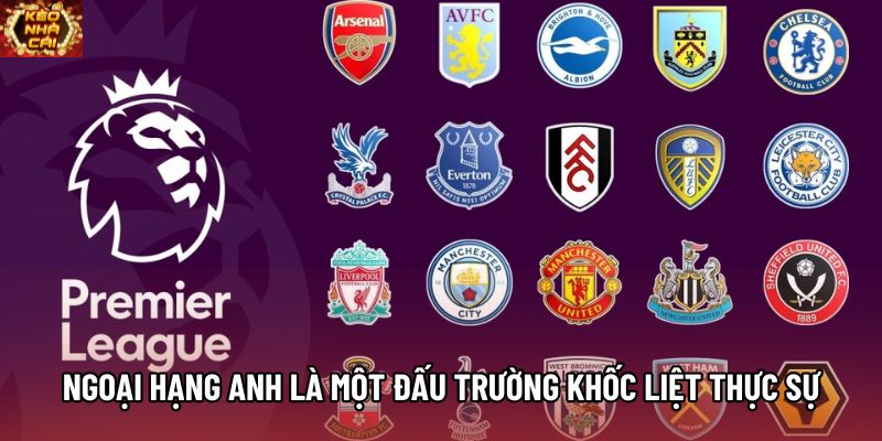 Ngoại hạng Anh là một đấu trường khốc liệt thực sự Ngoại hạng Anh là một đấu trường khốc liệt thực sự