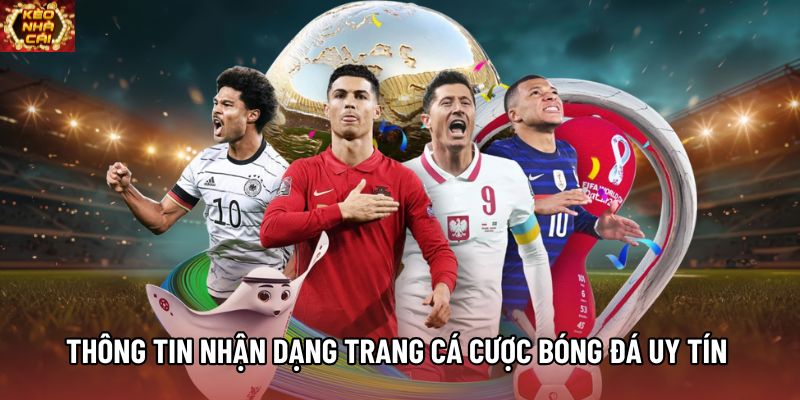 Thông tin nhận dạng trang cá cược bóng đá uy tín Thông tin nhận dạng trang cá cược bóng đá uy tín