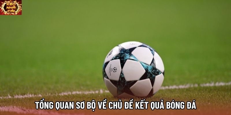 Tổng quan sơ bộ về chủ đề kết quả bóng đá Tổng quan sơ bộ về chủ đề kết quả bóng đá