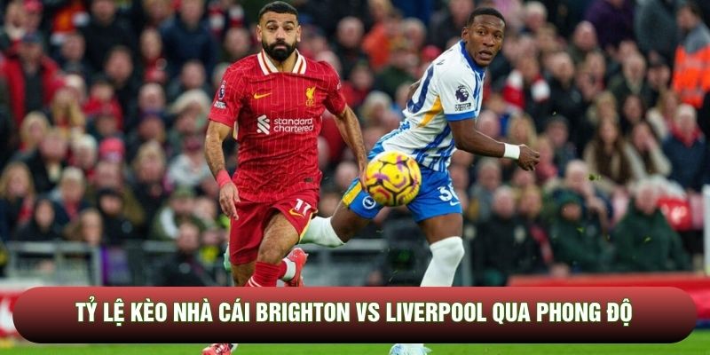 Tỷ lệ kèo nhà cái Brighton vs Liverpool qua phong độ Tỷ lệ kèo nhà cái Brighton vs Liverpool qua phong độ